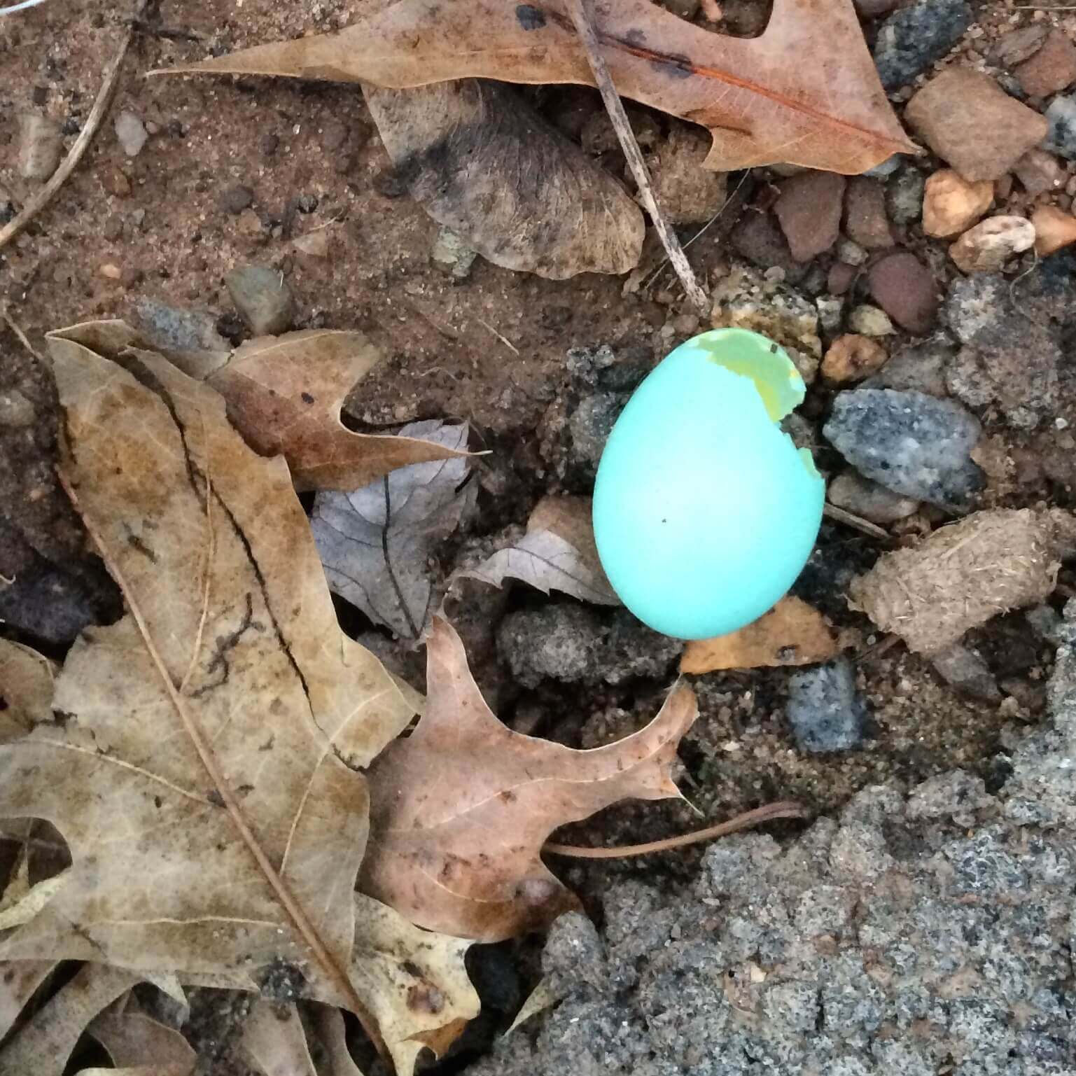 A Most Beautiful Blue, CHRONOLOG, Ann Grasso Fine Art