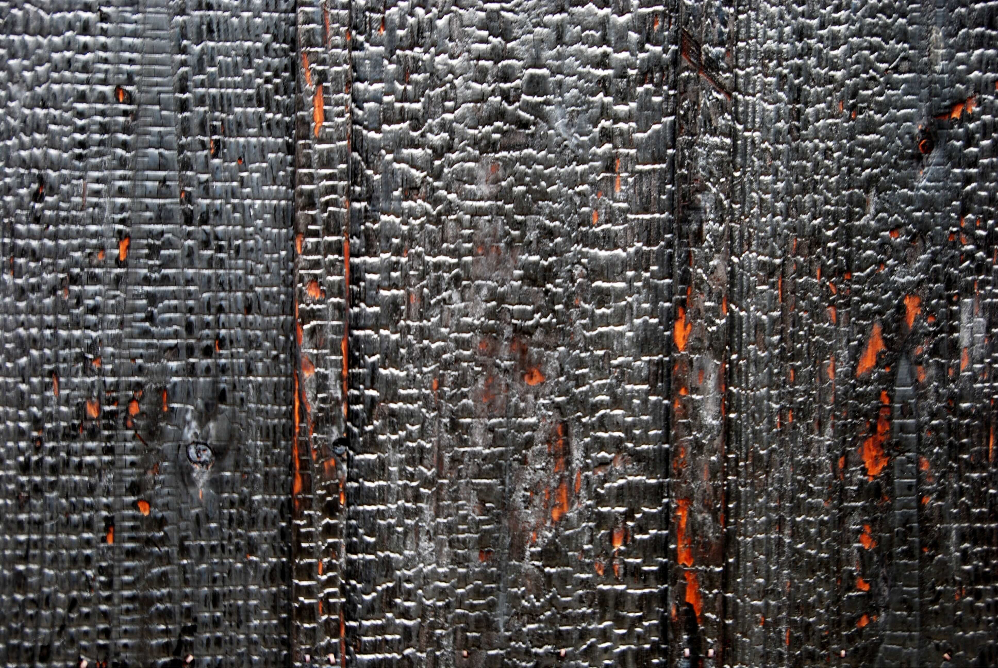 Pattern Burned, Ann Grasso Fine Art, Chronolog