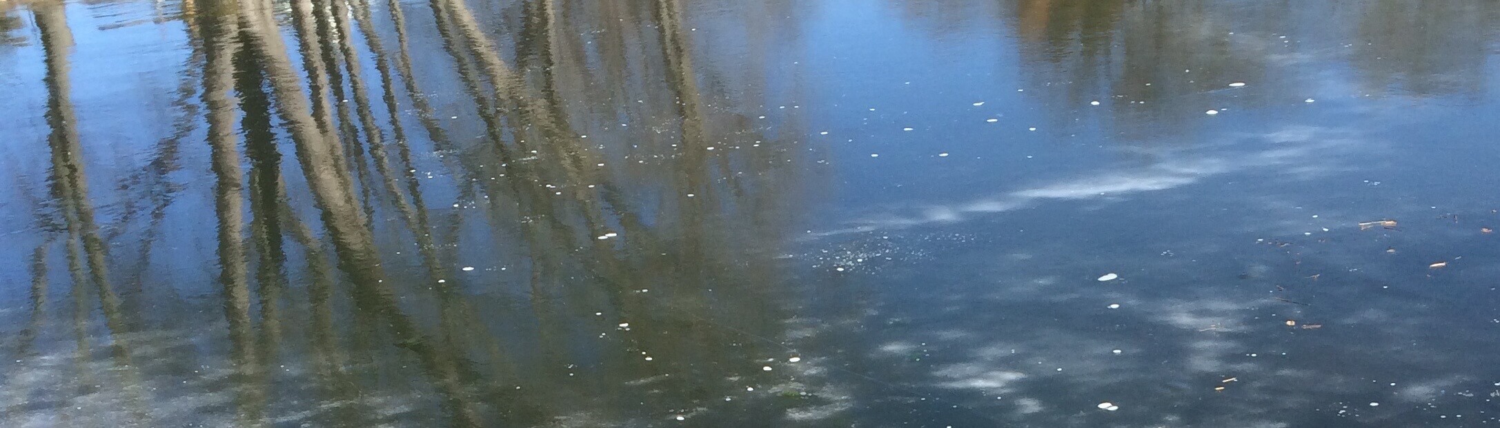 Ice Reflections, CHRONOLOG, Ann Grasso Fine Art