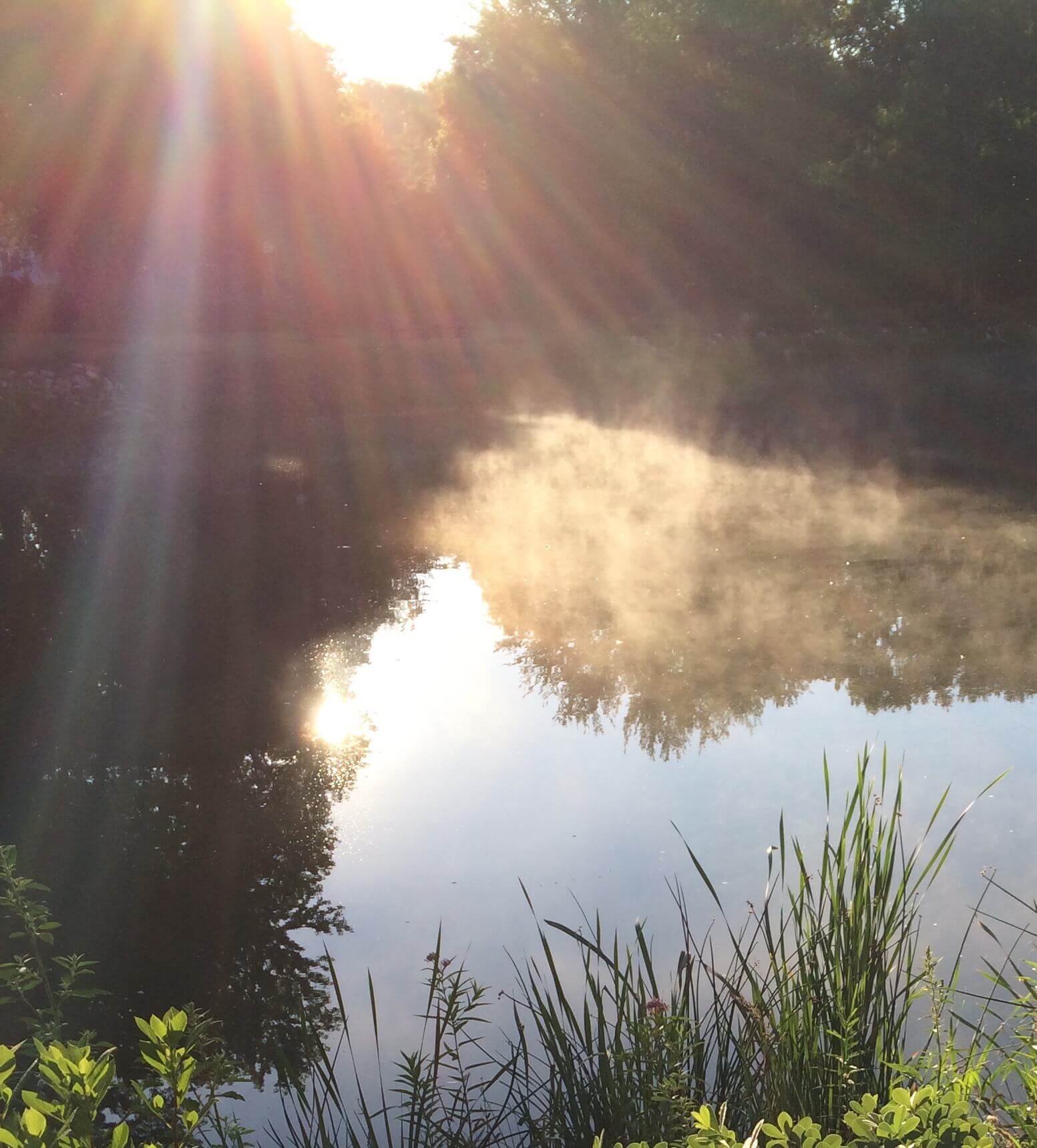 Sun Rays, Mist Rising, CHRONOLOG, Ann Grasso Fine Art