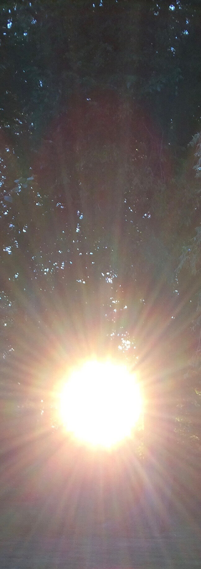 Morning Sun, CHRONOLOG, Ann Grasso Fine Art