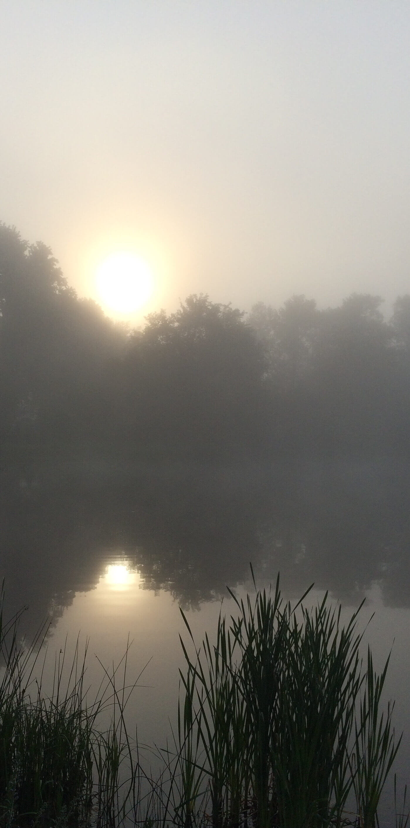 Sun Reflection, CHRONOLOG, Ann Grasso Fine Art