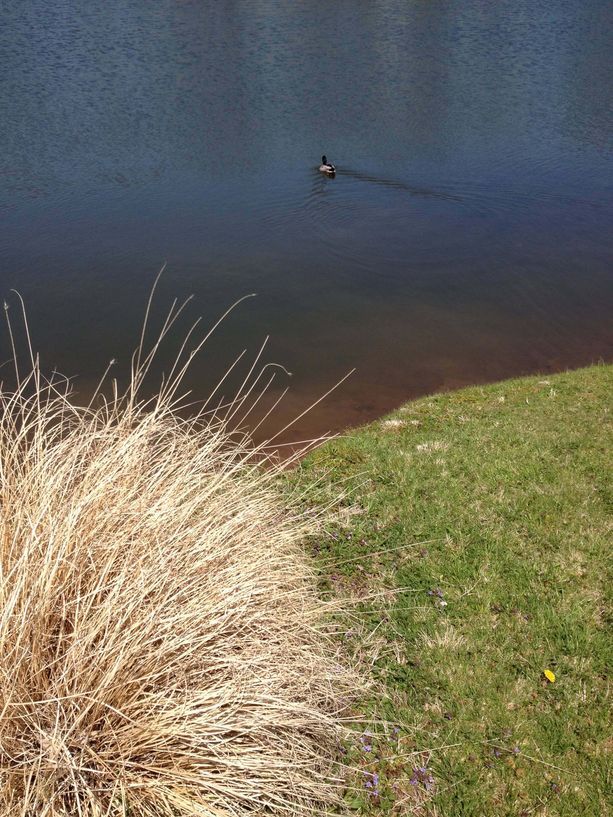 Blue Green Tan, CHRONOLOG, Ann Grasso Fine Art