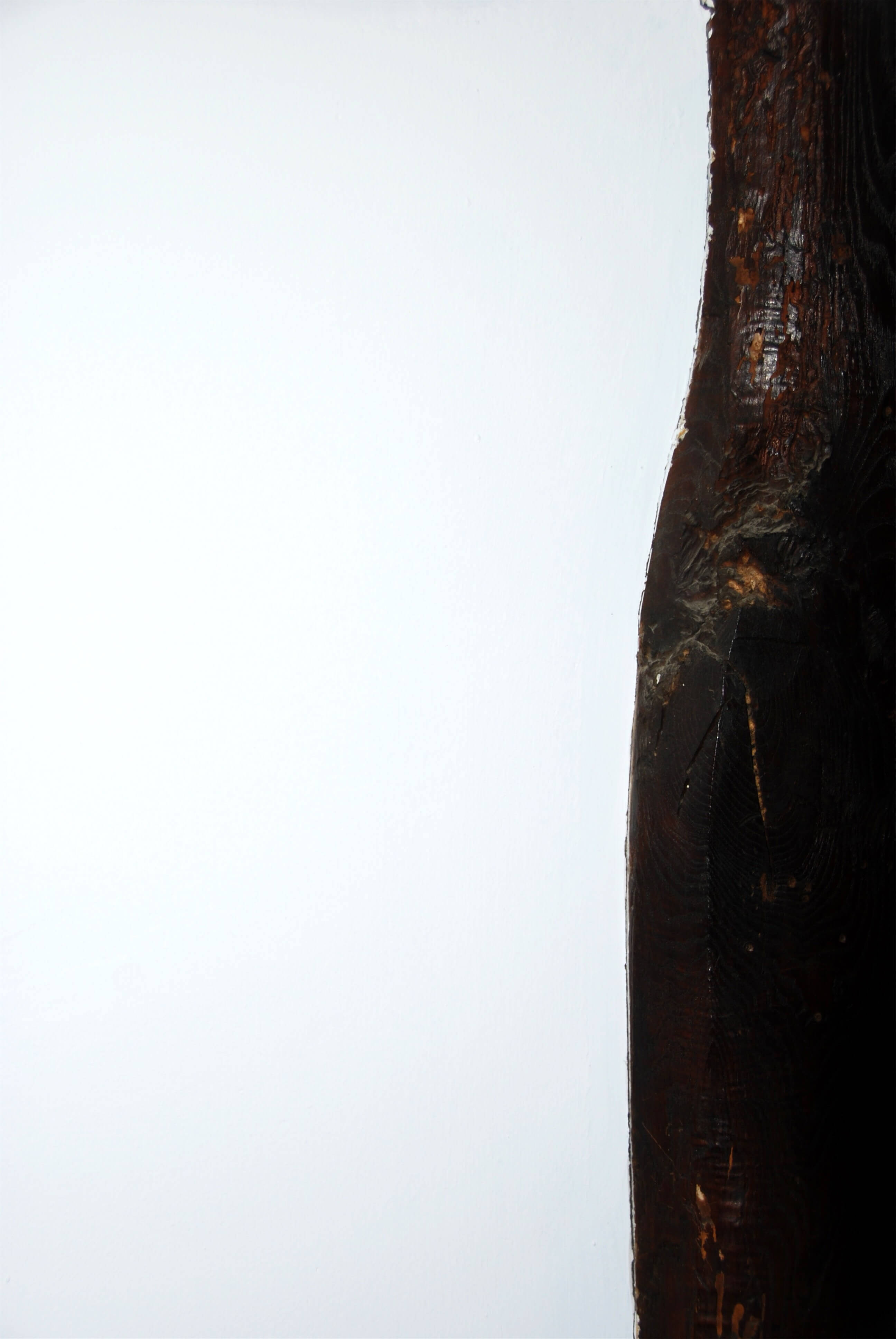 Timber, Chronolog, Ann Grasso Fine Art