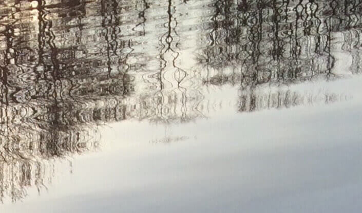 Nature's Pen and Ink, CHRONOLOG, Ann Grasso Fine Art
