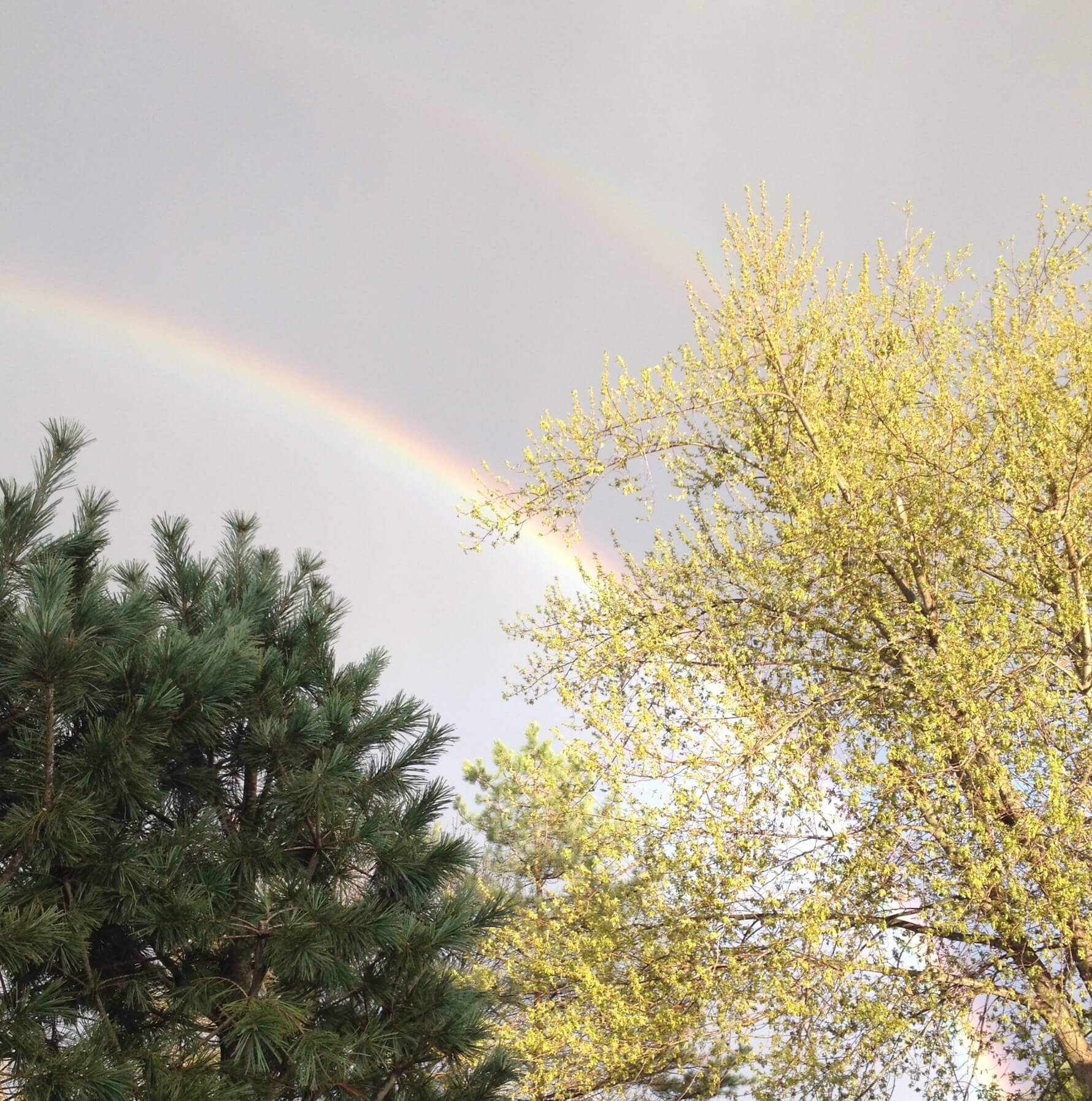 Double Rainbow Celebrates Spring, CHRONOLOG, Ann Grasso Fine Art