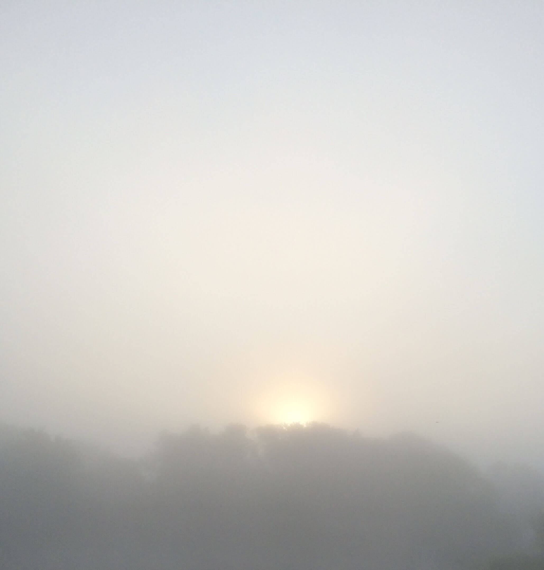 Sunrise in Heavy Fog, CHRONOLOG, Ann Grasso Fine Art