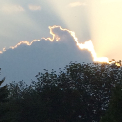 Backlit Cloud at Sunset