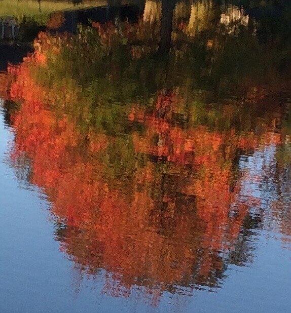 Fall Tree Reflection, Ann Grasso Fine Art