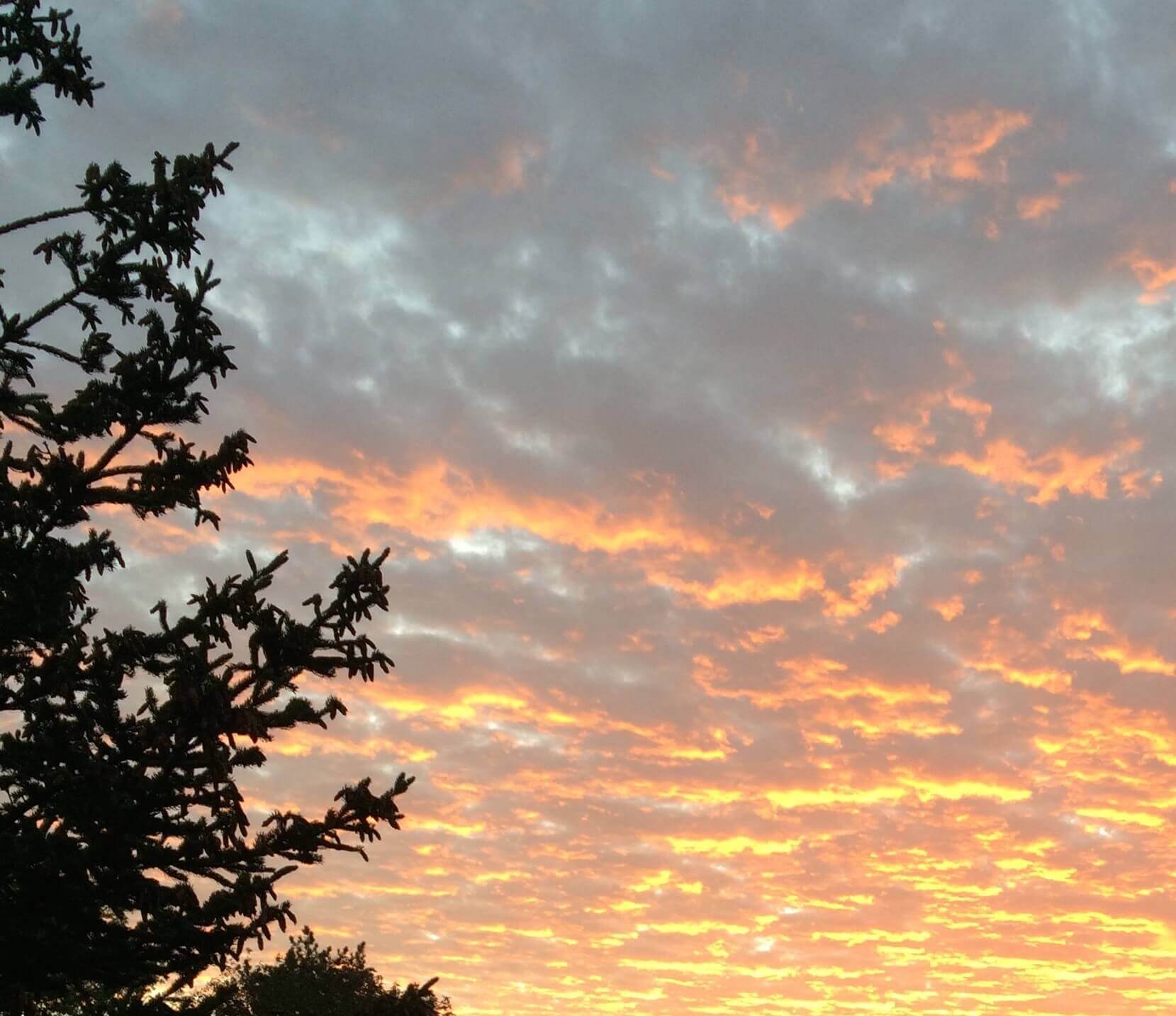 Mottled Sunrise, CHRONOLOG, Ann Grasso Fine Art