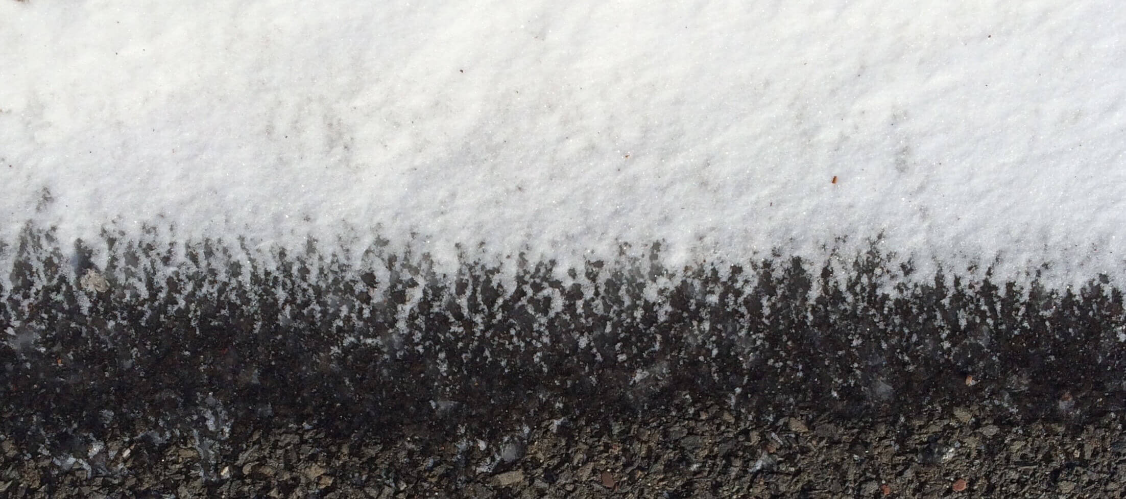 Growing Asphalt, Chronolog, Ann Grasso Fine Art