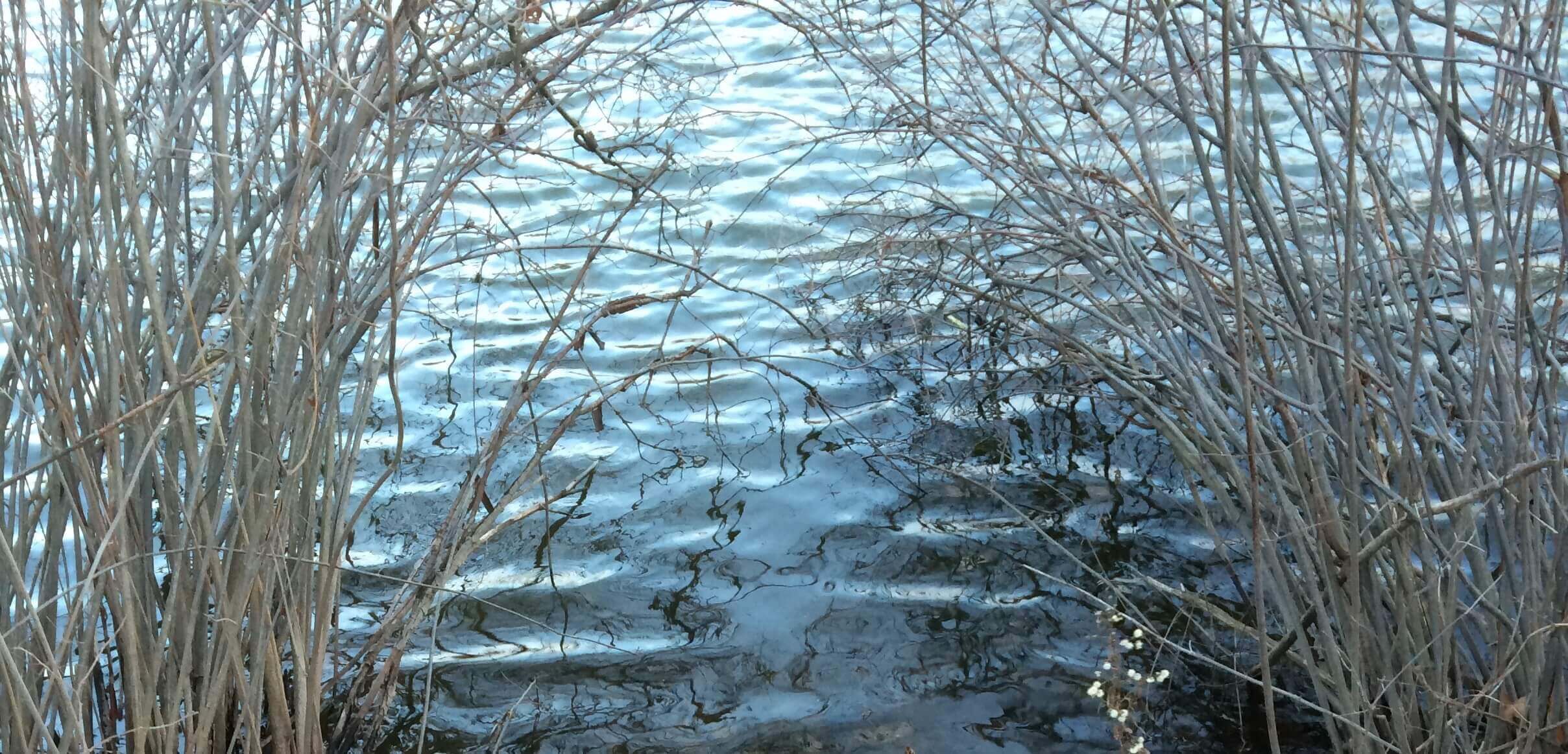 Line and Ripple, CHRONOLOG, Ann Grasso Fine Art