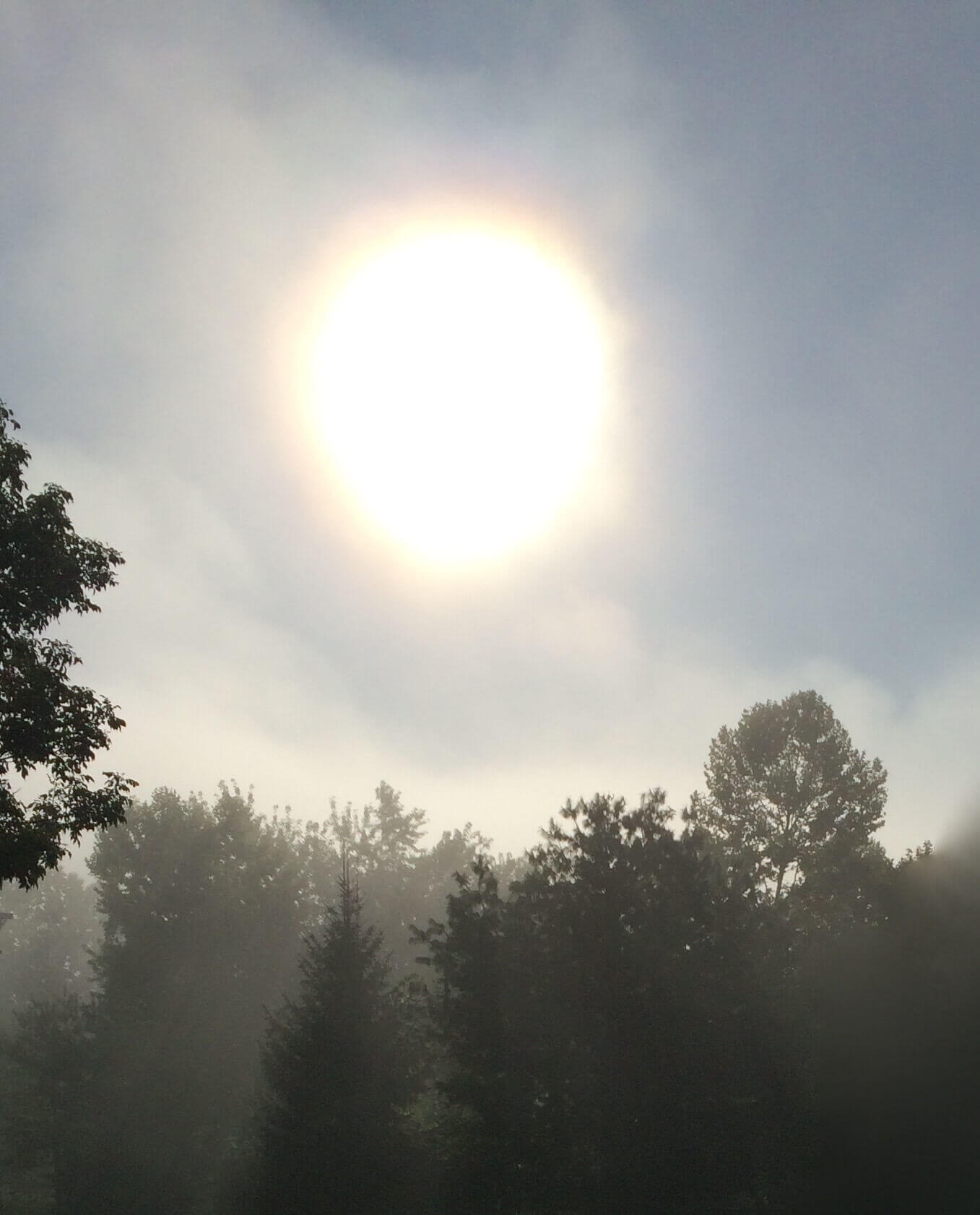Sunrise through Fog, CHRONOLOG, Ann Grasso Fine Art