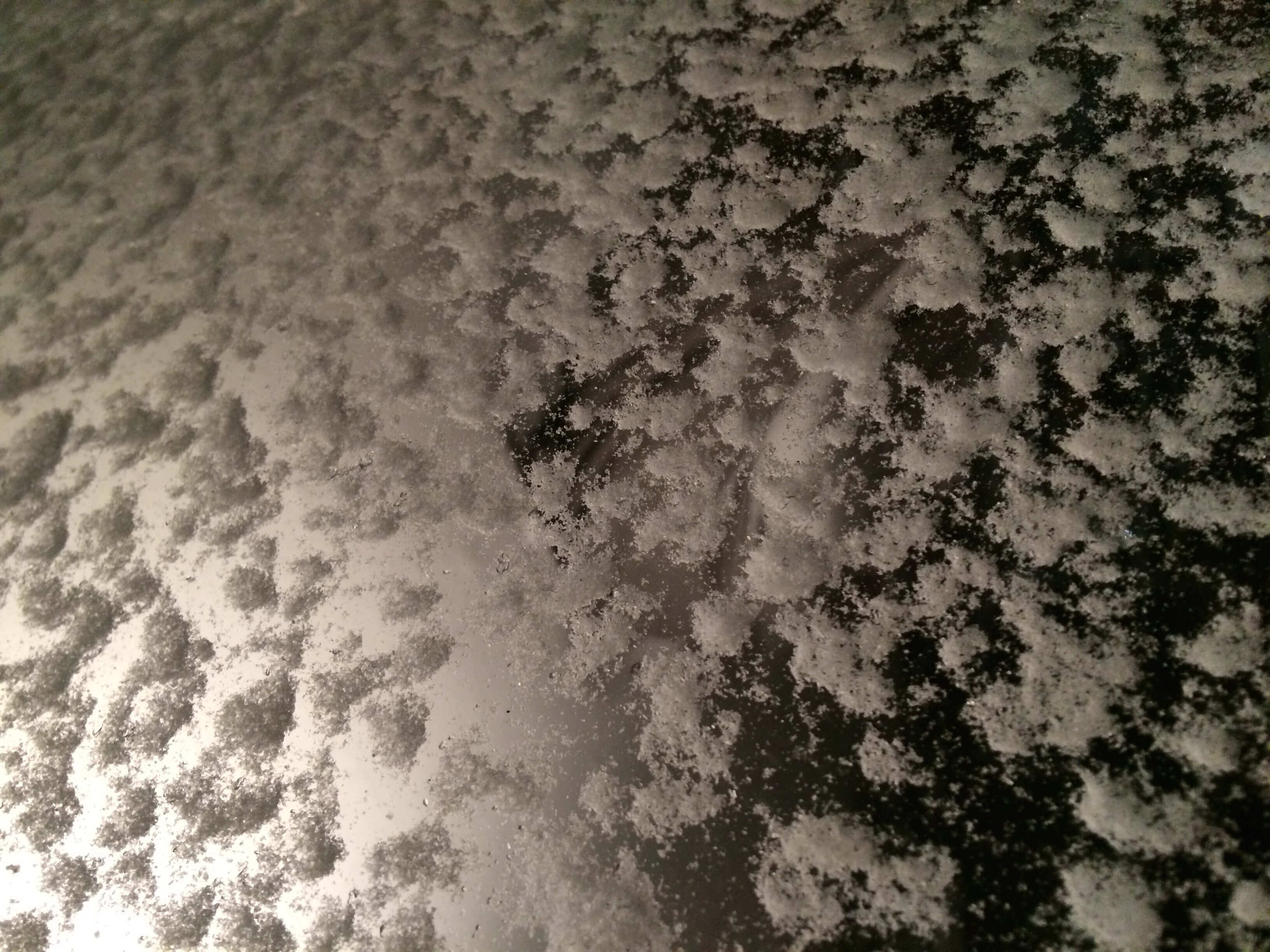 Snow Pattern, CHRONOLOG, Ann Grasso Fine Art