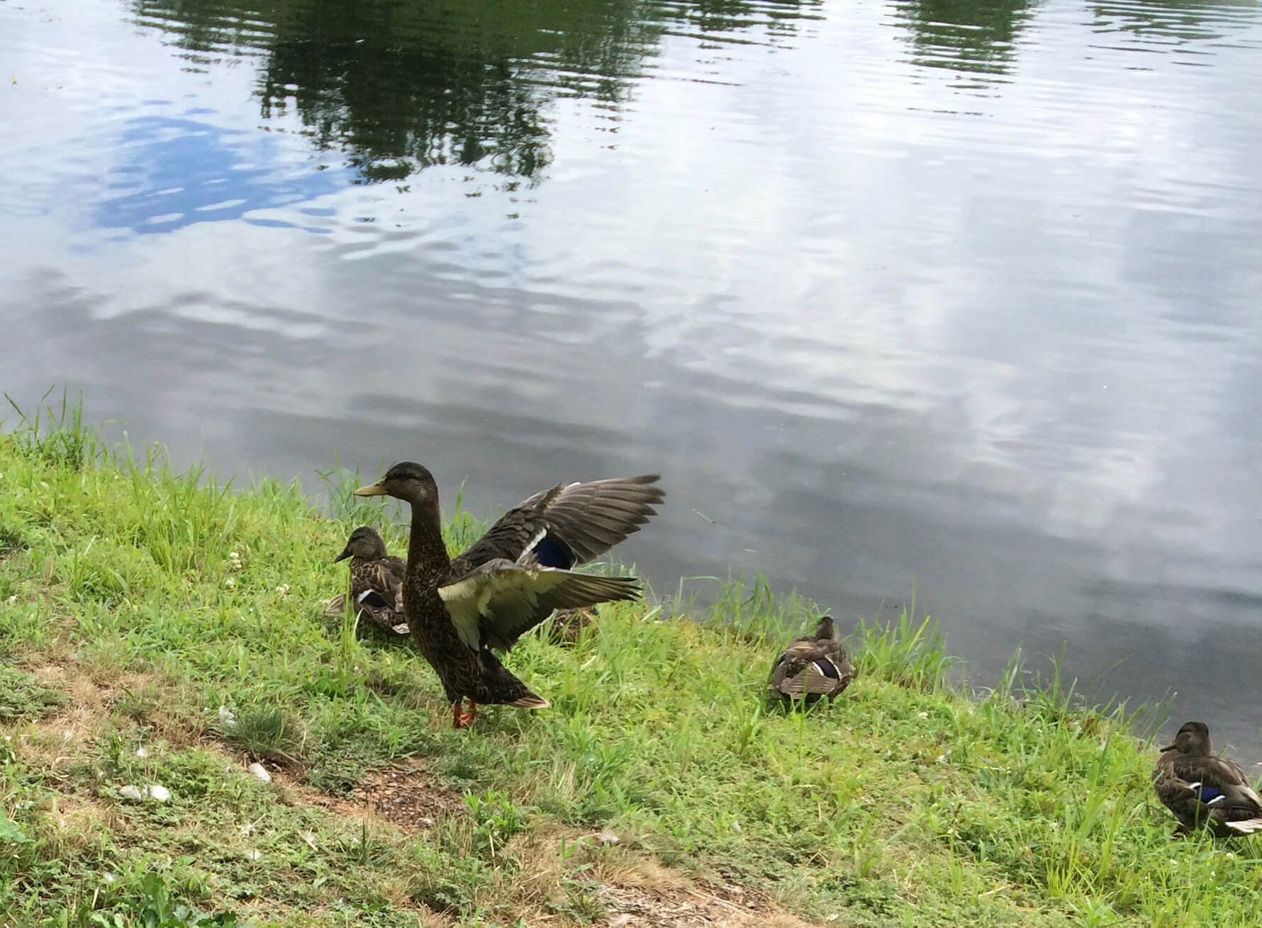 See Me, CHRONOLOG, Ann Grasso Fine Art