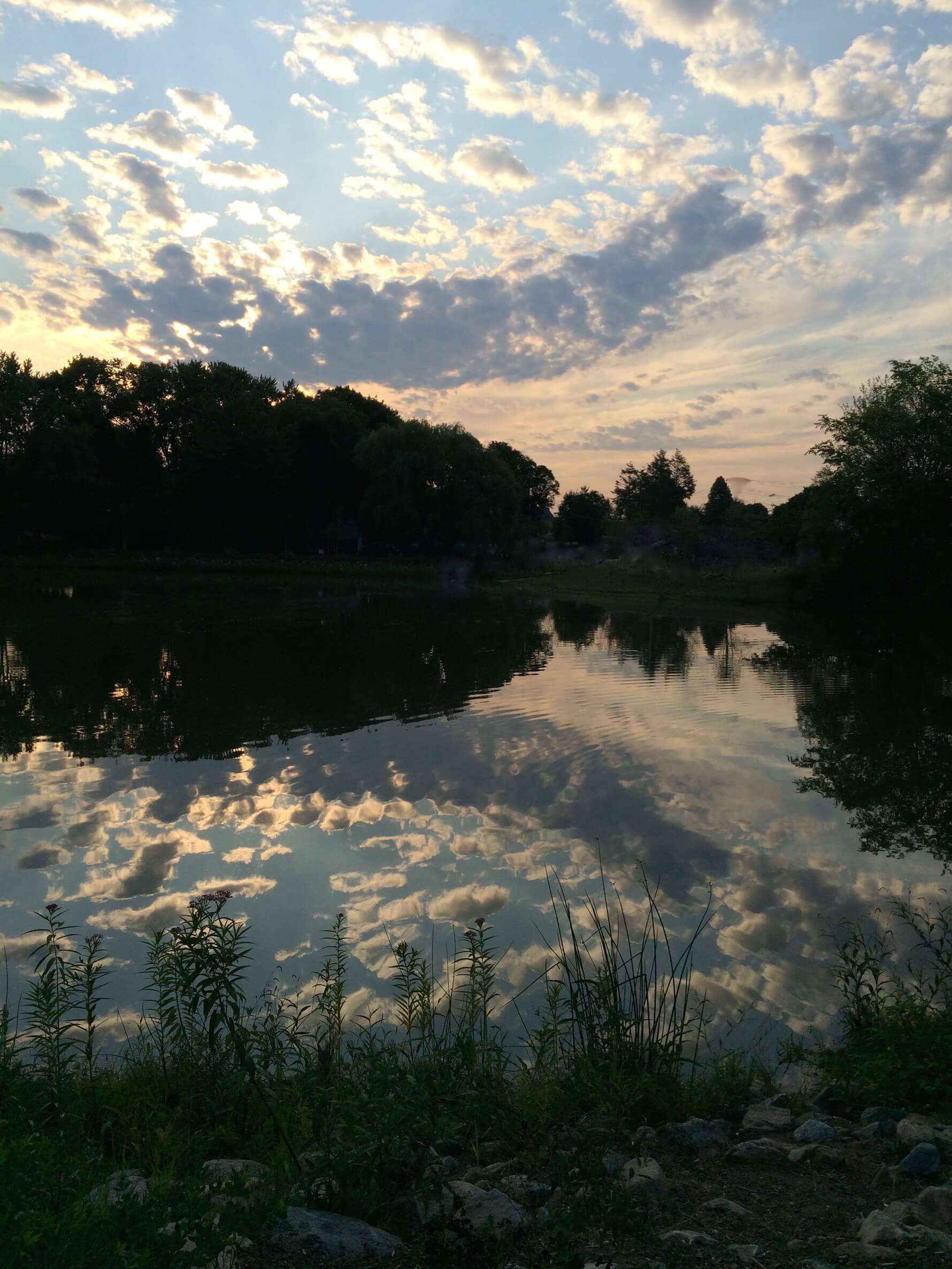 Cloud Reflection, CHRONOLOG, Ann Grasso Fine Art