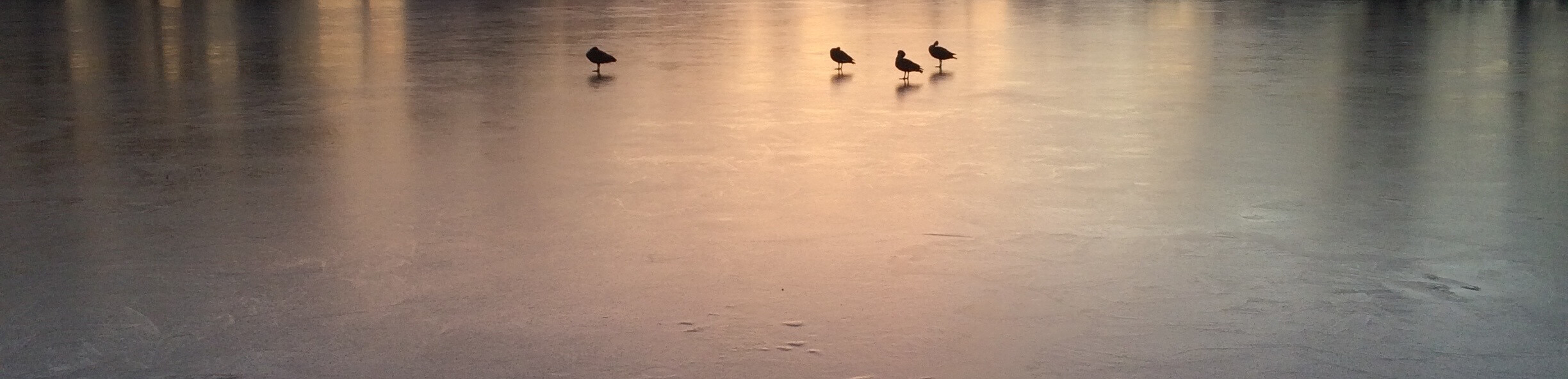 Ice Pond, CHRONOLOG, Ann Grasso Fine Art